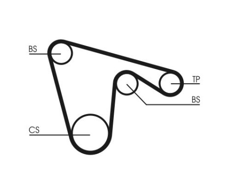 Timing Belt CT970 Contitech, Image 2