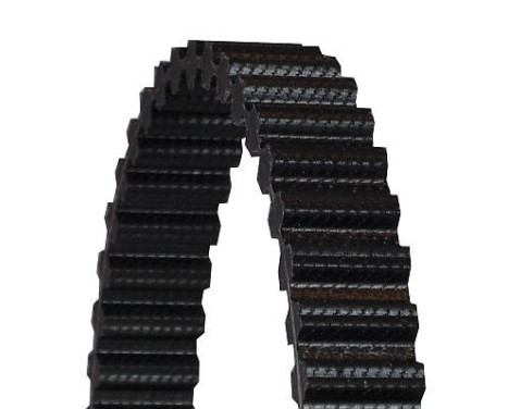 Timing Belt CT970 Contitech, Image 3