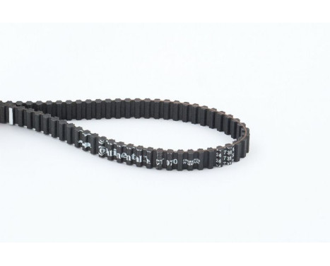 Timing belt CT970 Contitech, Image 3