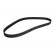 Timing Belt CT974 Contitech