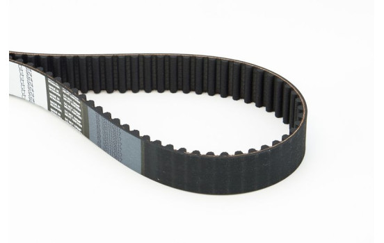 Timing belt CT974 Contitech, Image 4
