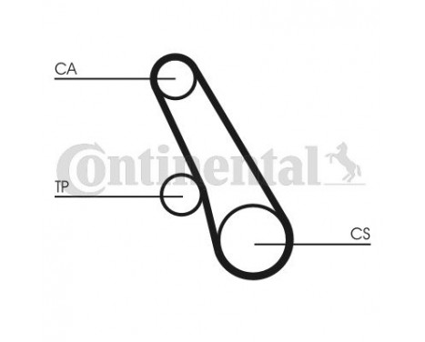 Timing Belt CT991 Contitech, Image 2