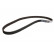 Timing Belt CT996 Contitech