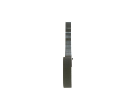 Timing Belt HTD12299,525M31 Bosch, Image 4