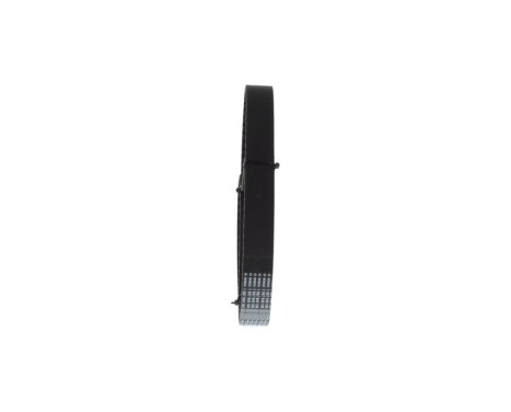 Timing Belt HTD13439,525M28 Bosch, Image 2