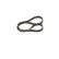Timing Belt HTDA10579,525M25 Bosch