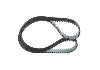 Timing Belt HTDA13439,525M30 Bosch
