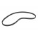 Timing Belt PowerGrip® 5030FI Gates