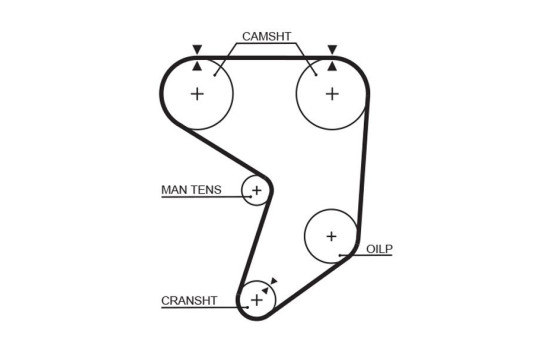 Timing Belt PowerGrip® 5195XS Gates