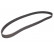 Timing Belt PowerGrip® 5202XS Gates