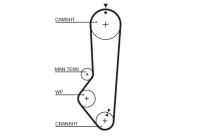 Timing Belt PowerGrip® 5224XS Gates