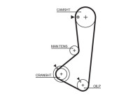 Timing Belt PowerGrip® 5256XS Gates