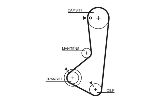 Timing Belt PowerGrip® 5256XS Gates