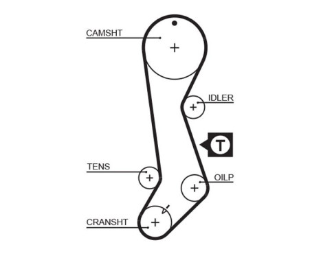 Timing Belt PowerGrip® 5358XS Gates, Image 2