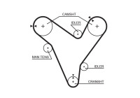 Timing Belt PowerGrip® 5379XS Gates