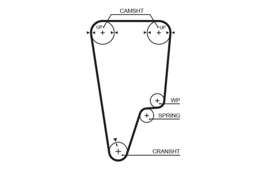 Timing Belt PowerGrip® 5505XS Gates