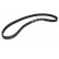 Timing Belt PowerGrip® 5524XS Gates