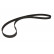 Timing Belt PowerGrip® 5537XS Gates