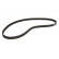 Timing Belt PowerGrip® 5545XS Gates