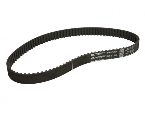 Timing Belt PowerGrip® 5560XS Gates