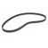 Timing Belt PowerGrip® 5574XS Gates