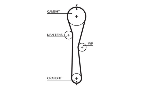 Timing Belt PowerGrip® 5577XS Gates