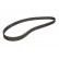 Timing Belt PowerGrip® 5578XS Gates