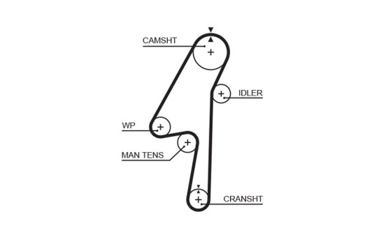 Timing Belt PowerGrip® 5580XS Gates