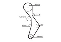 Timing Belt PowerGrip® 5604XS Gates