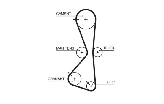 Timing Belt PowerGrip® 5609XS Gates