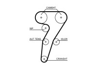 Timing Belt PowerGrip® 5653XS Gates