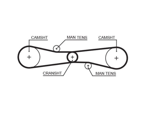 Timing Belt PowerGrip® T275 Gates, Image 2