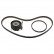 Timing Belt Set 100325 FEBI