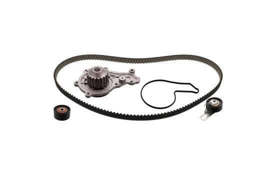 Timing Belt Set 100781 FEBI