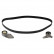 Timing Belt Set 11066 FEBI