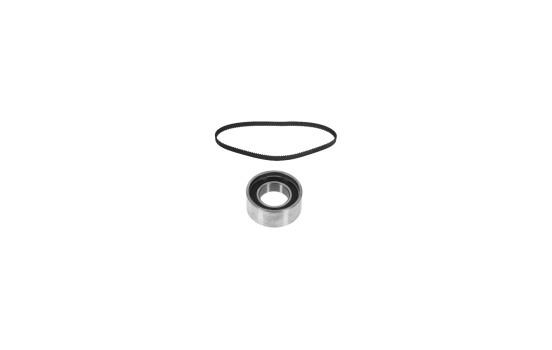 Timing belt set 11072 FEBI