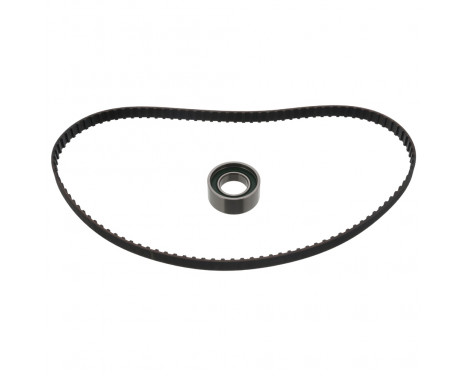 Timing Belt Set 11076 FEBI