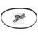 Timing Belt Set 11227 FEBI, Thumbnail 2