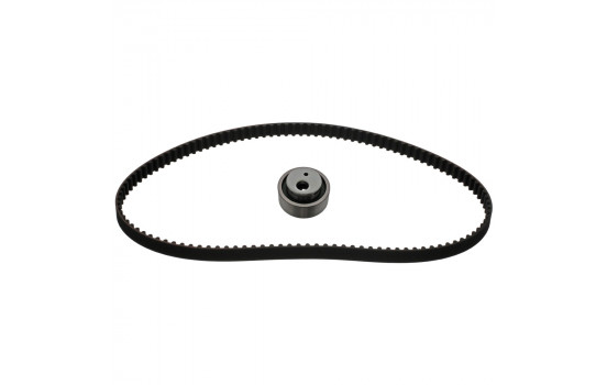 Timing Belt Set 11244 FEBI