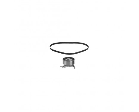 Timing Belt Set 14113 FEBI