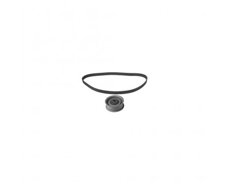 Timing Belt Set 14612 FEBI