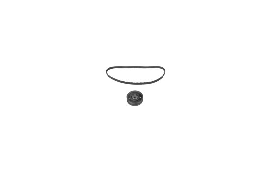 Timing belt set 14616 FEBI
