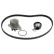 Timing belt set 173142 FEBI