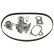 Timing belt set 173154 FEBI