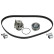 Timing belt set 173162 FEBI