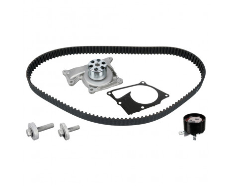 Timing belt set 173163 FEBI
