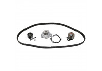 Timing belt set 173179 FEBI