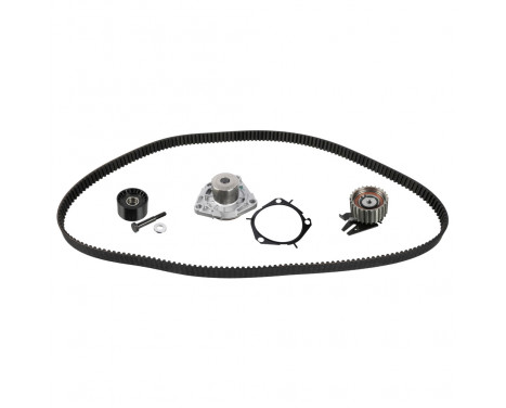 Timing belt set 173179 FEBI