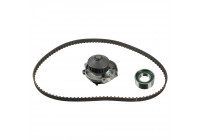 Timing belt set 173181 FEBI