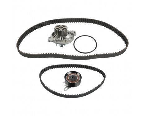 Timing belt set 173211 FEBI